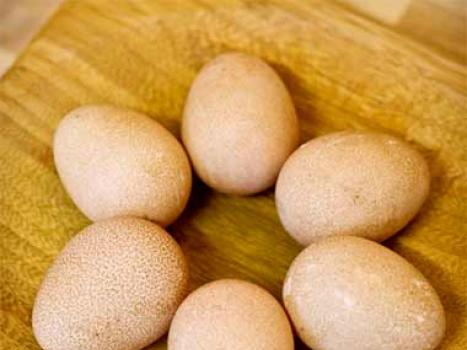 Диетические и гипоаллергенные яйца цесарки: польза и вред, особенности применения и противопоказания Цесарки и их яйца